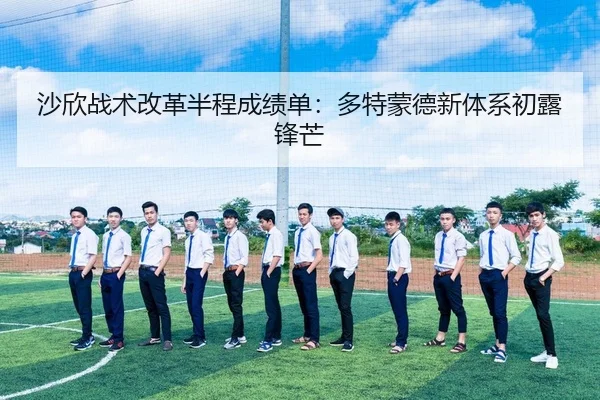 沙欣战术改革半程成绩单：多特蒙德新体系初露锋芒